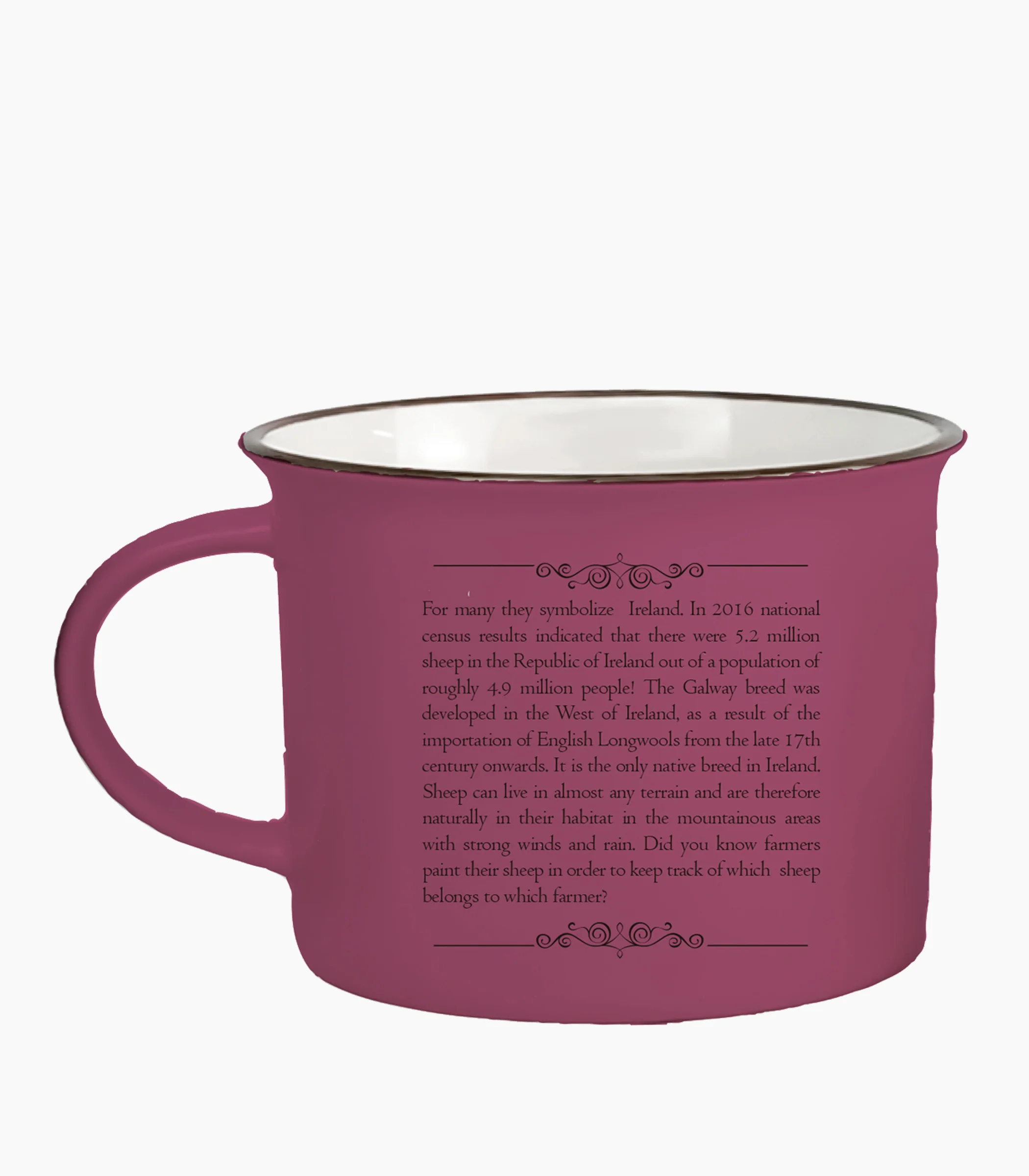 Ireland Story Mug - Small - Image 2